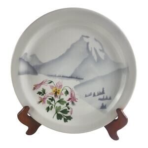 40s Great Northern Railroad Dinning Car Syracuse China Plates Back Stamped Set~2